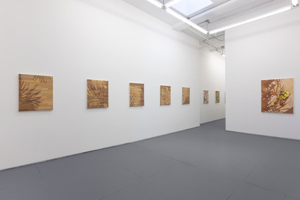 Installation view of Natalia Juncadella's solo exhibition at Hashimoto Contemporary (colorful shadow paintings on white walls)