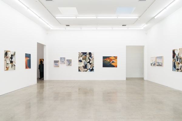 gallery installation shot of Fields of View at Hashimoto Contemporary Los Angeles