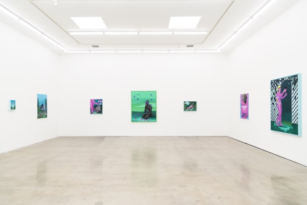 Gallery installation photo of Corey Lamb's solo show "Natural Selection"