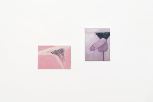 Gallery installation photo of Corey Lamb's solo show "Natural Selection"