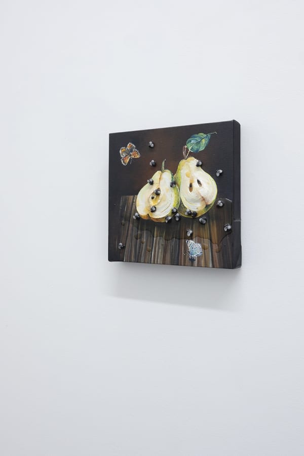 Installation photo from the Nic Dyer Exhibition "BREADCRUMB"