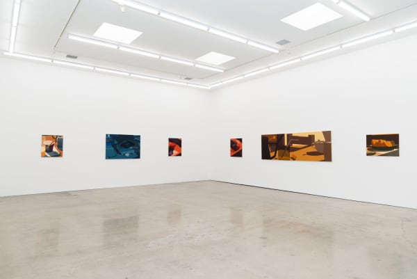 Installation view of Adrian Kay Wong's exhibition Softly at the LA gallery