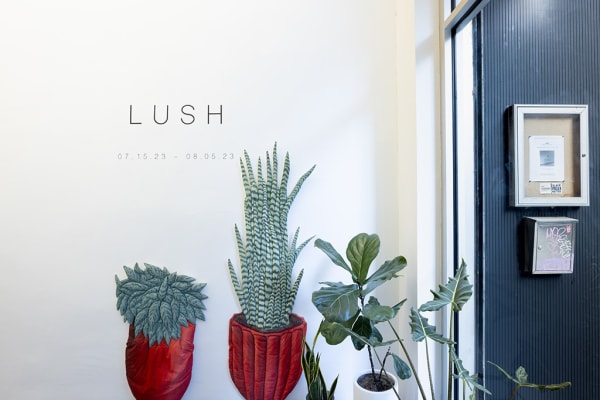 Installation image of the front entryway in the LUSH exhibition