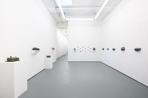 Installation image of Abigail Goldman exhibition "State of Nature"