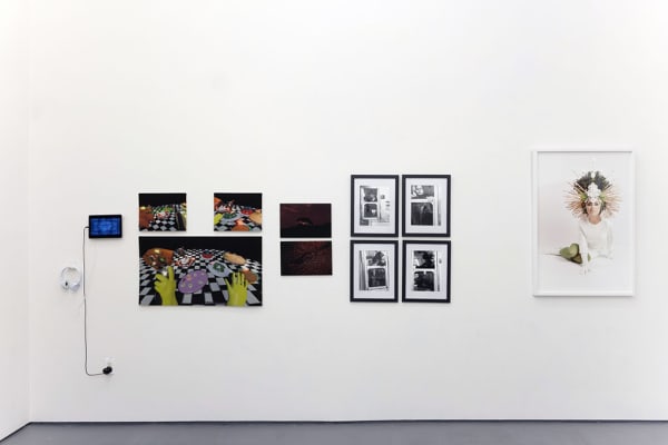 Install photo of gallery during "The Invisible Dog Goes for a Walk" group exhibition