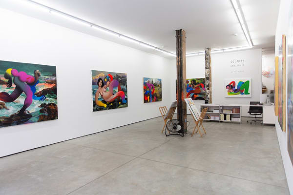 Opening night of "Country" at Hashimoto Contemporary NYC