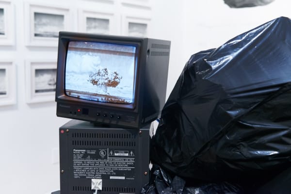 Installation image from Joel Daniel Phillips' "Hazards May Be Present II" at Hashimoto Contemporary SF