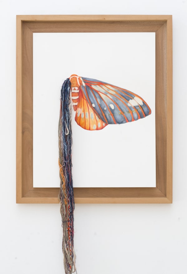 Installation image from "Lush Life" at Hashimoto Contemporary SF