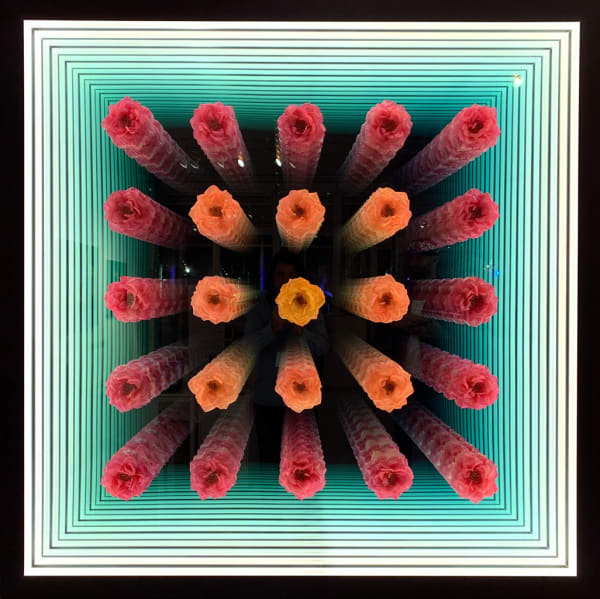 Peter Gronquist infinity mirror