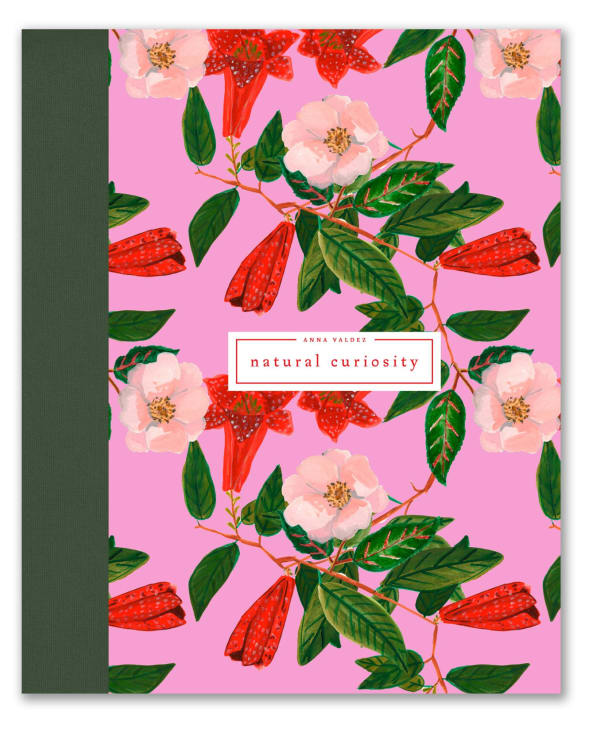 Cover of "Natural Curiosity" book by Anna Valdez, featuring pink background and bright flowers