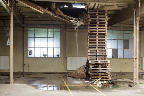 Martin Kollar, Provisional Arrangement No.2, 2016