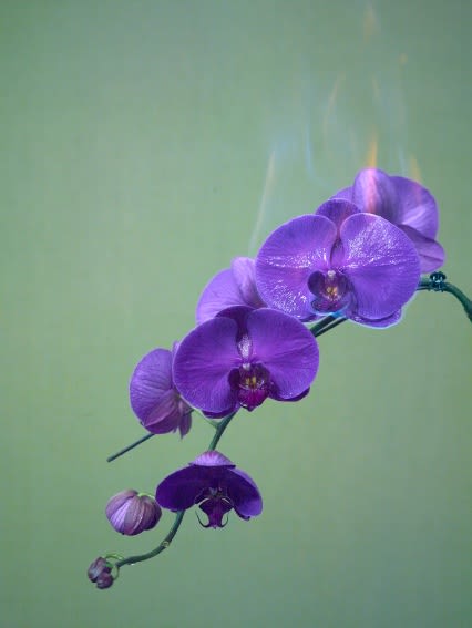 Jiang Zhi, Love Letters No.21, 2011