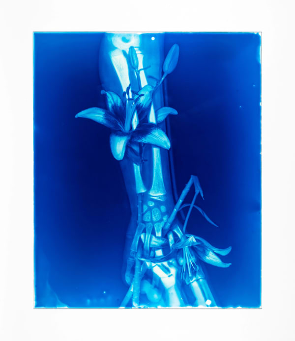 Hu Weiyi, Blood Blue No.22, 2020