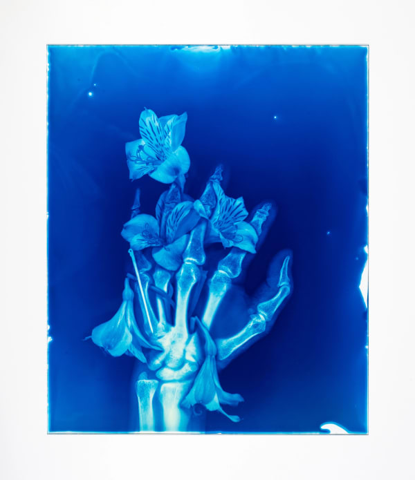 Hu Weiyi, Blood Blue No.20, 2020