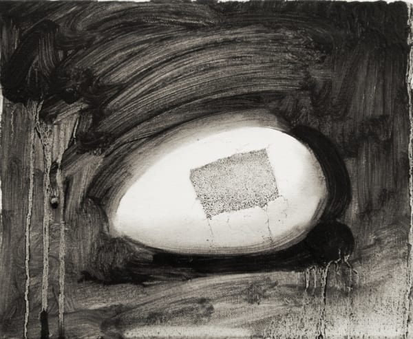 Lu Chao, Shell, 2013
