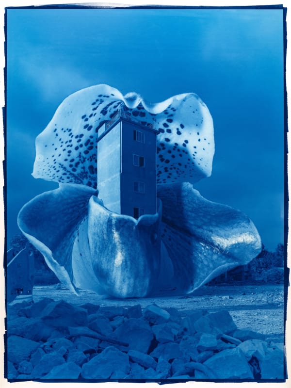 Hu Weiyi, Blueprint No.1, 2021