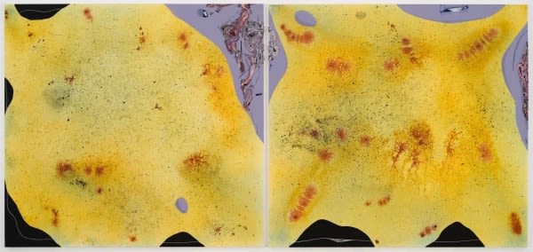 Manuel Mathieu, Borders, 2024