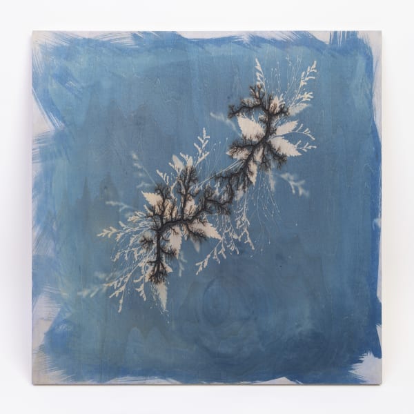 Hu Weiyi, Branches 1, 2019
