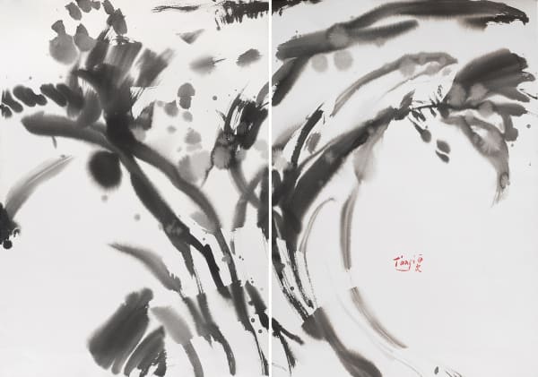 T’Ang Haywen | Inks