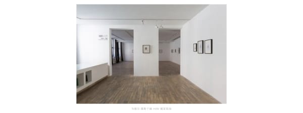 Martial Raysse at HdM Gallery, Beijing