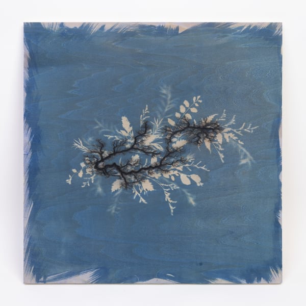 Hu Weiyi, Branches 7, 2019