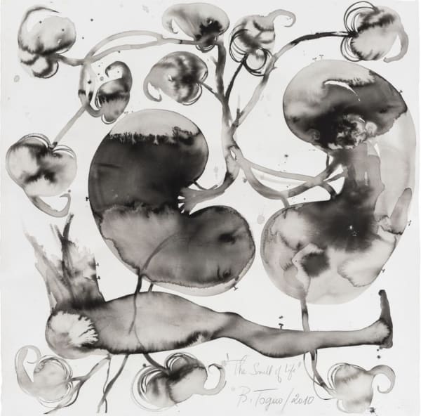 Barthelemy Toguo, The Smell of Life, 2010