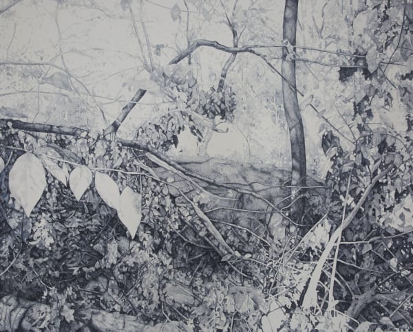 Zhao Xuebing, Central Park No.9, 2012