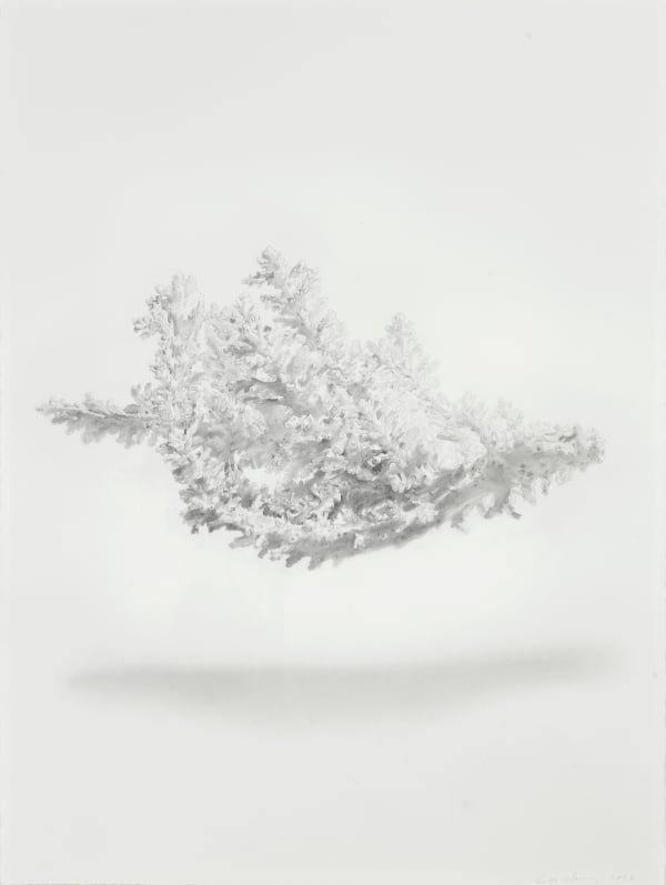 Lu Chao, Suspension No.3, 2015