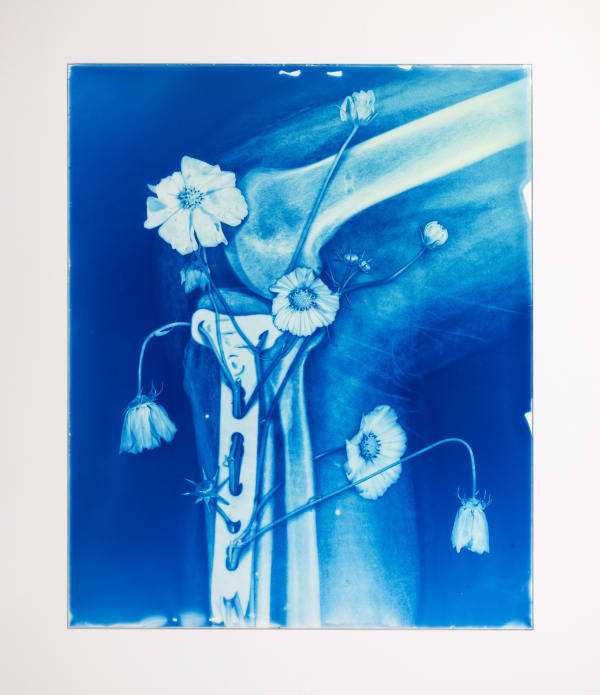 Hu Weiyi Blood Blue No.12 2020