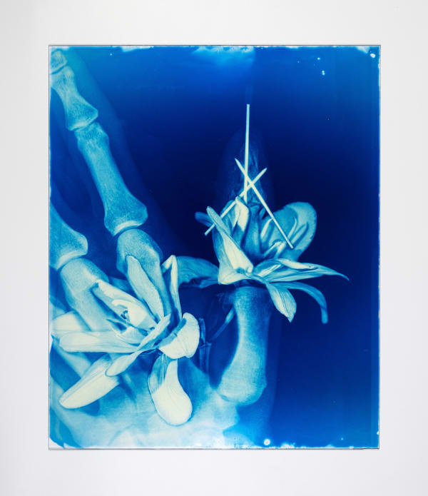 Hu Weiyi Blood Blue No.17 2020