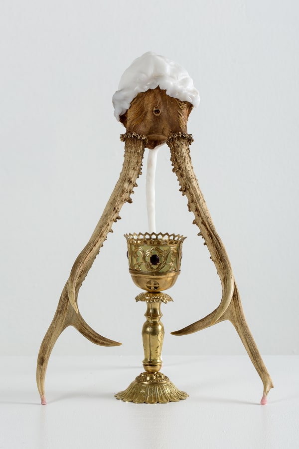 Ilya Fedotov Fedorov Miniature Museum Of Poisons 2018 Copyright Ilya Fedotov Fedorov 43X28X30 Cm