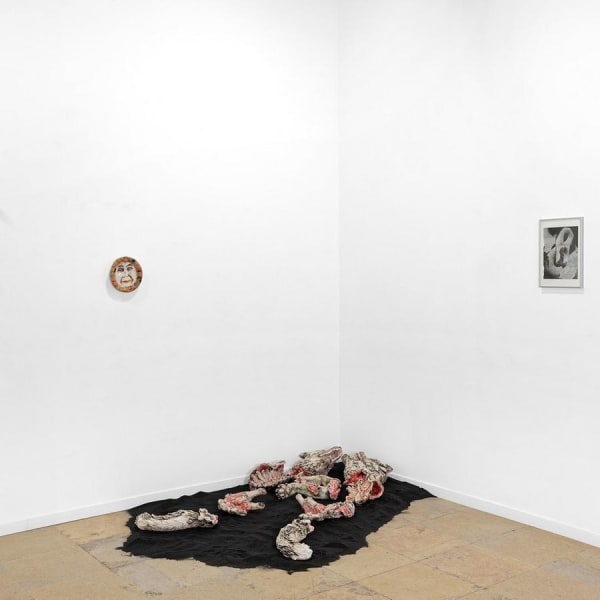 Prises De Vues Expo Eloge De La Curiosit Oct 2019 Gal H Chartier Crdit Photo Blaise Adilon