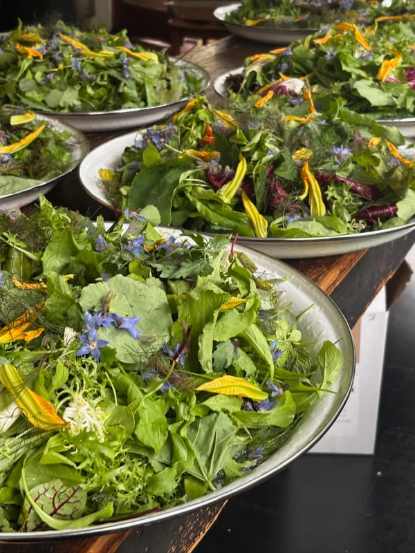 Salads made with wild and cultivated varieties of herbs and blossoms celebrate the spontaneous, indexical, and infinite variation of landscape