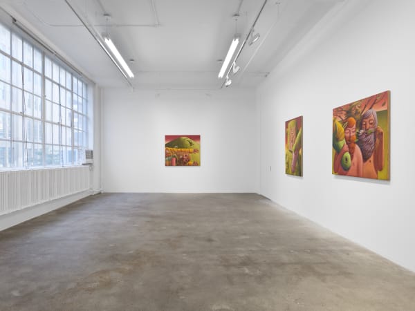 Meade Hank Stampers Bones Install View 1Jpg