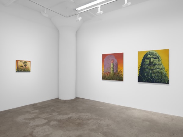 Meade Hank Stampers Bones Install View 10