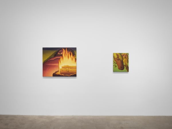 Meade Hank Stampers Bones Install View 11