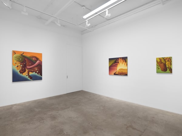 Meade Hank Stampers Bones Install View 12