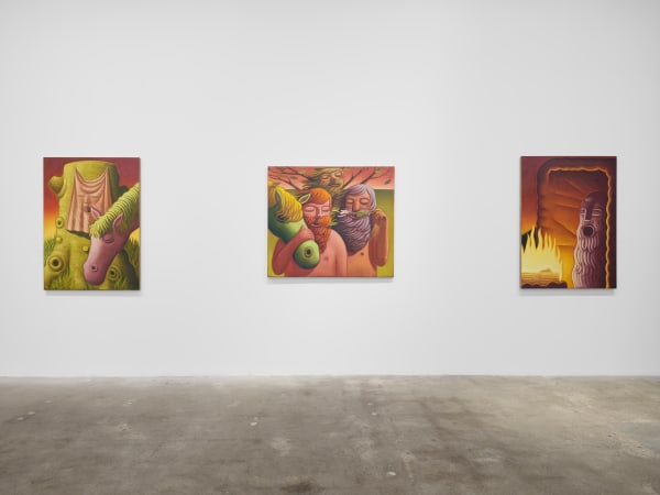 Meade Hank Stampers Bones Install View 2