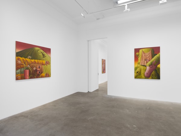 Meade Hank Stampers Bones Install View 3