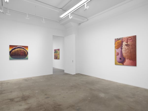 Meade Hank Stampers Bones Install View 4