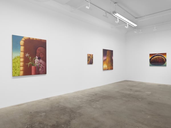 Meade Hank Stampers Bones Install View 5