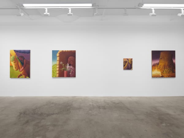 Meade Hank Stampers Bones Install View 6