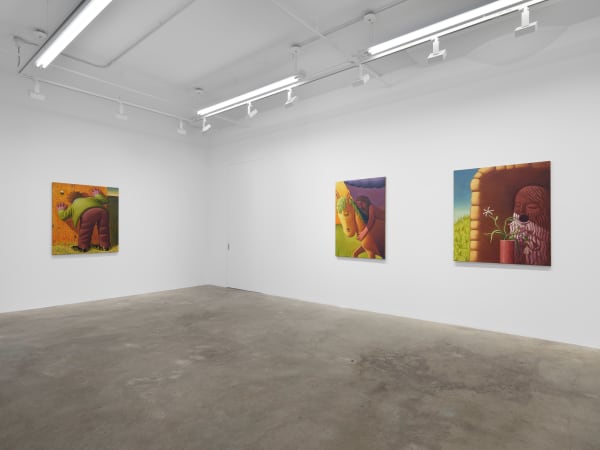 Meade Hank Stampers Bones Install View 7