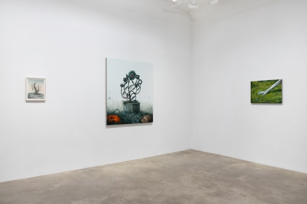 Deirup Ex Voto In Silico Install View 12