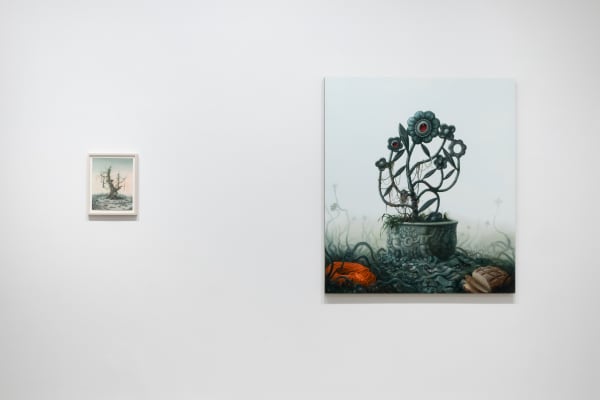 Deirup Ex Voto In Silico Install View 13