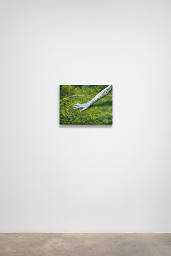 Deirup Ex Voto In Silico Install View 14