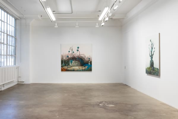 Deirup Ex Voto In Silico Install View 4