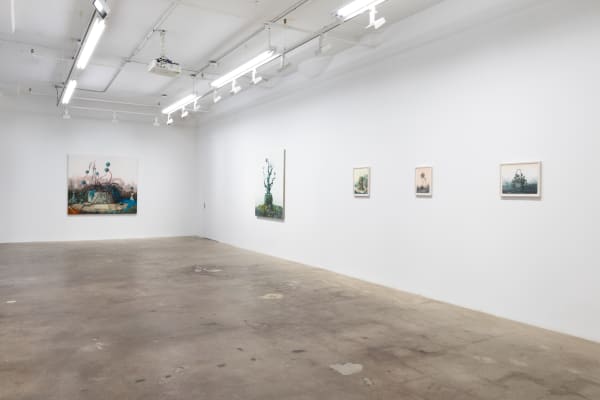 Deirup Ex Voto In Silico Install View 5