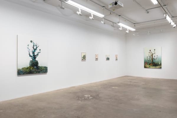 Deirup Ex Voto In Silico Install View 6