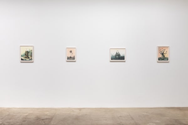 Deirup Ex Voto In Silico Install View 7